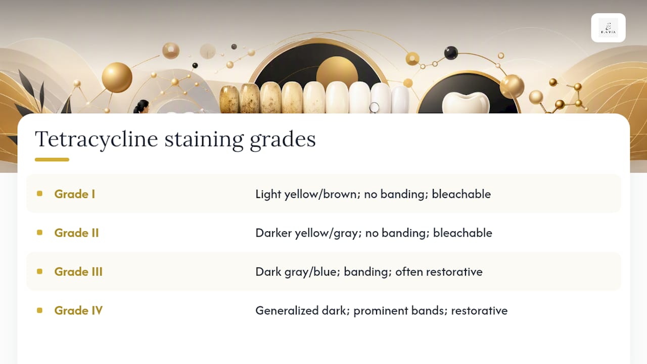 Diagram of tetracycline staining grading scale