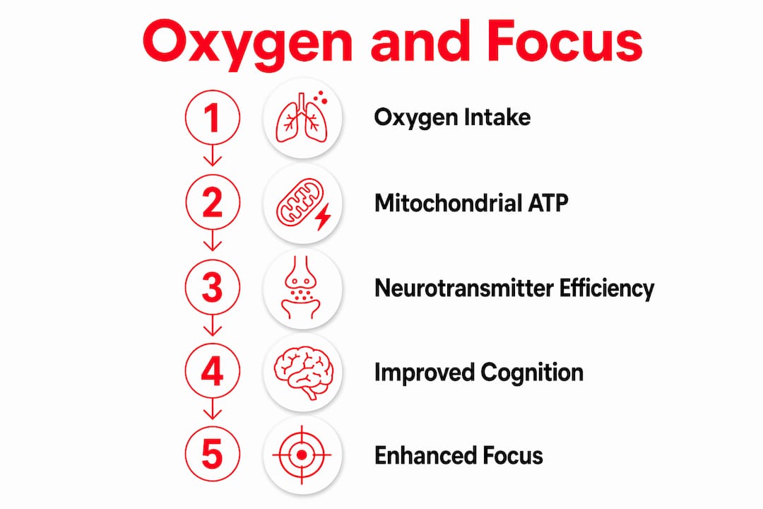 Infographic showing steps of oxygen improving mental focus