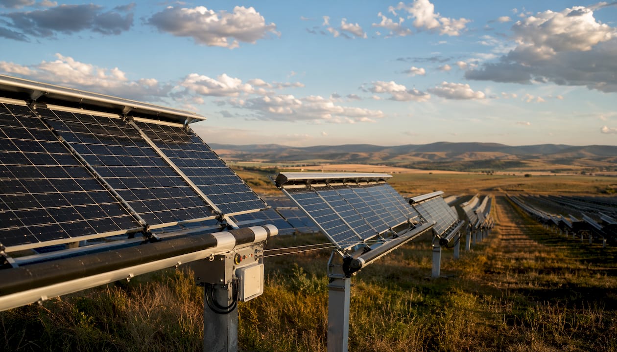 Solar farm with panels tilted for hail protection at sunset