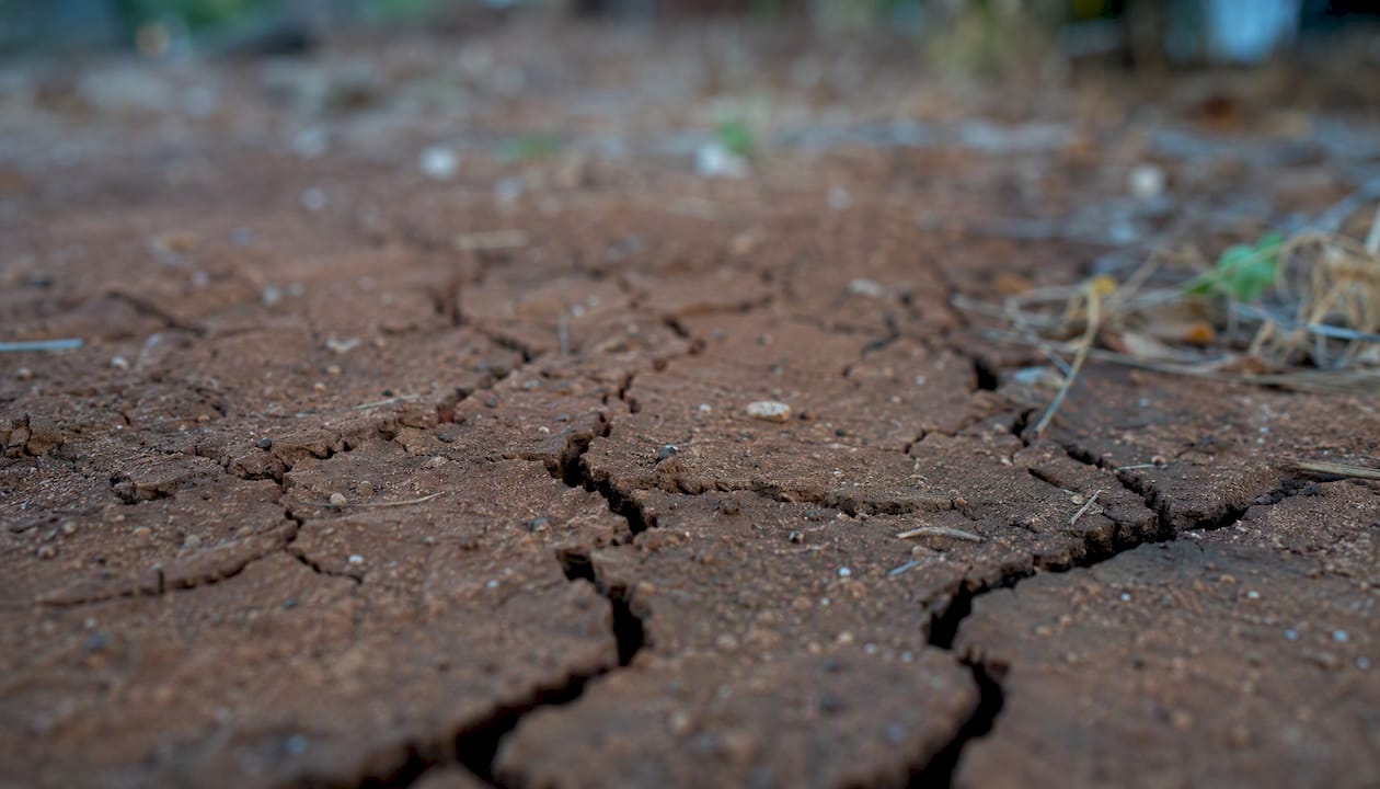 Cracked reactive clay soil close-up