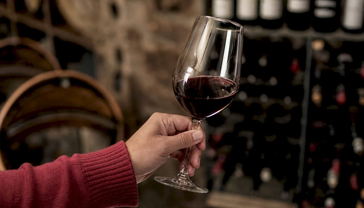 Close-up of hand holding wine glass showing wine texture