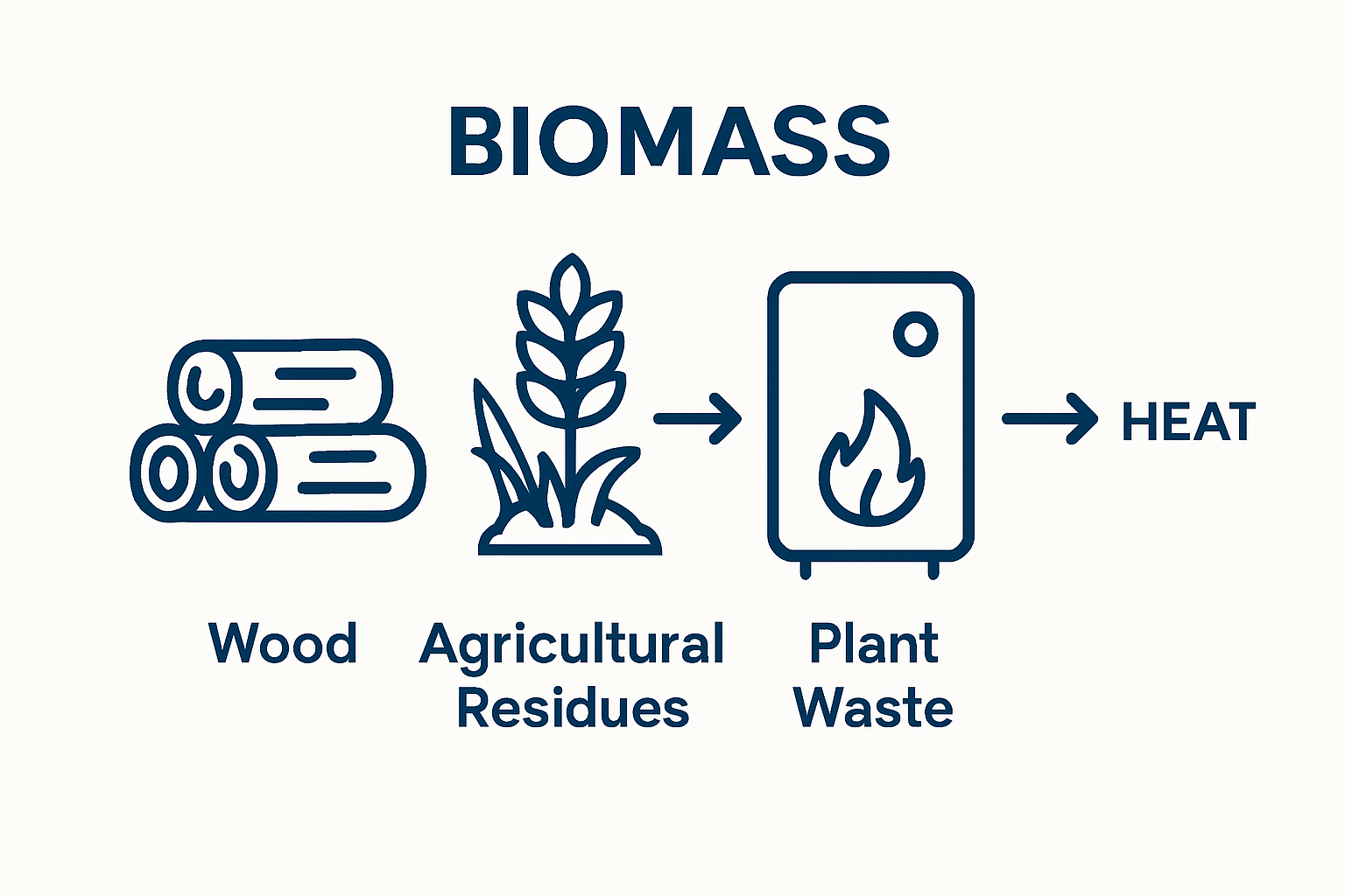 Infographic comparing three common biomass fuel types: wood logs, agricultural waste, and plant residue.