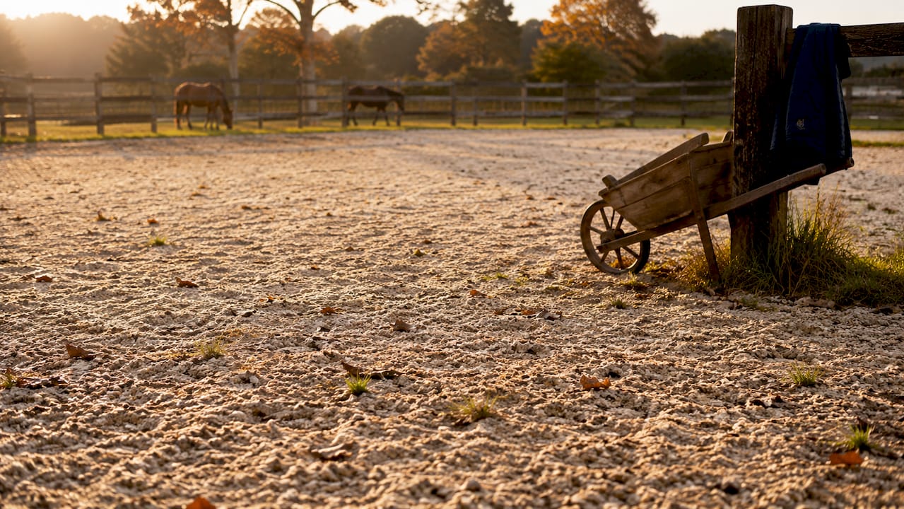 Silica sand equestrian arena surface detail