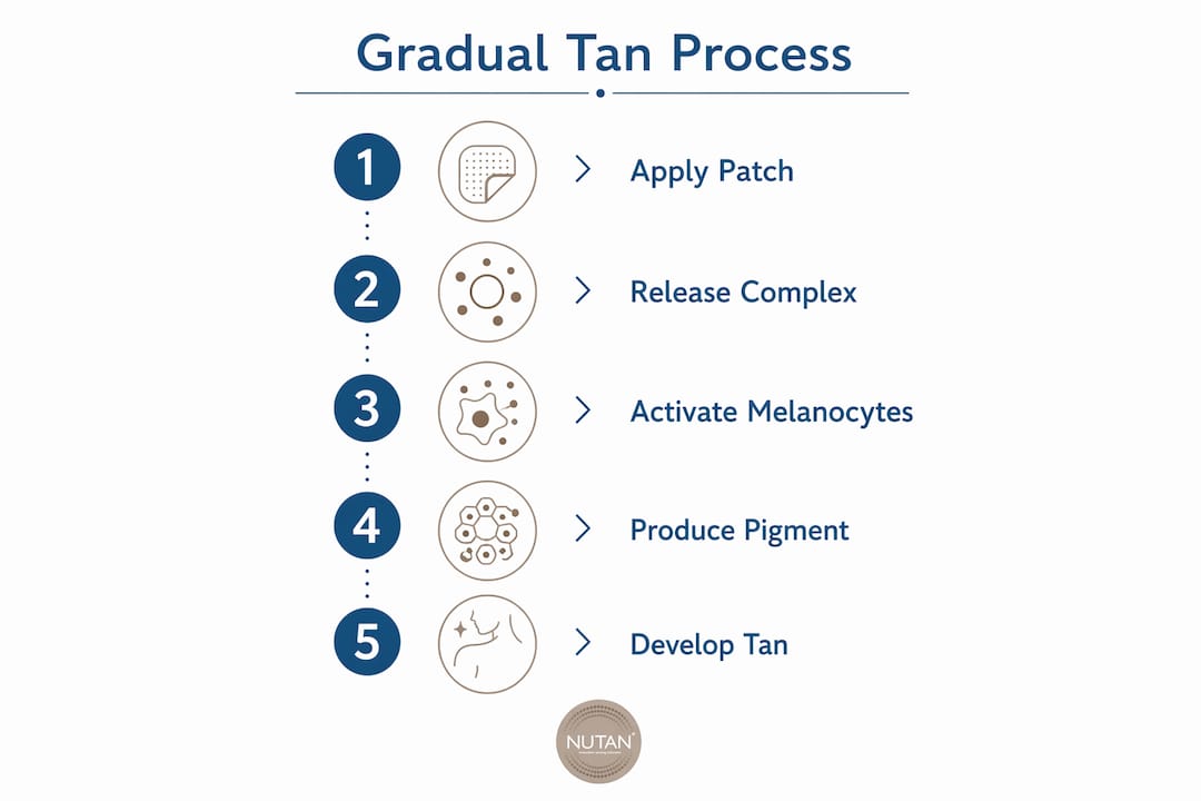 Infographic illustrating gradual tan process steps