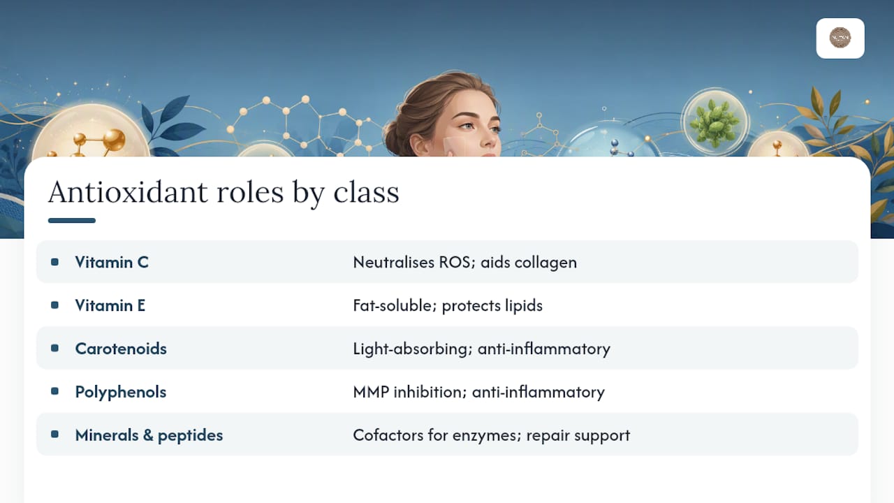 Which antioxidants actually work, and what each one does — overview diagram