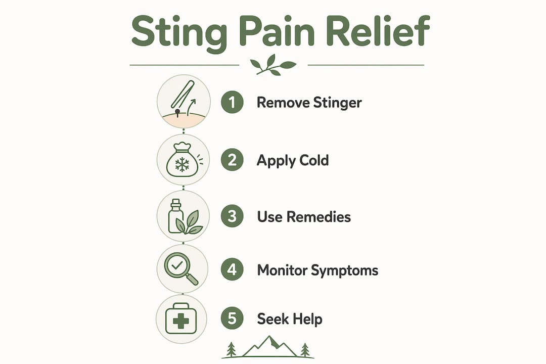 Infographic outlining bee sting pain relief steps