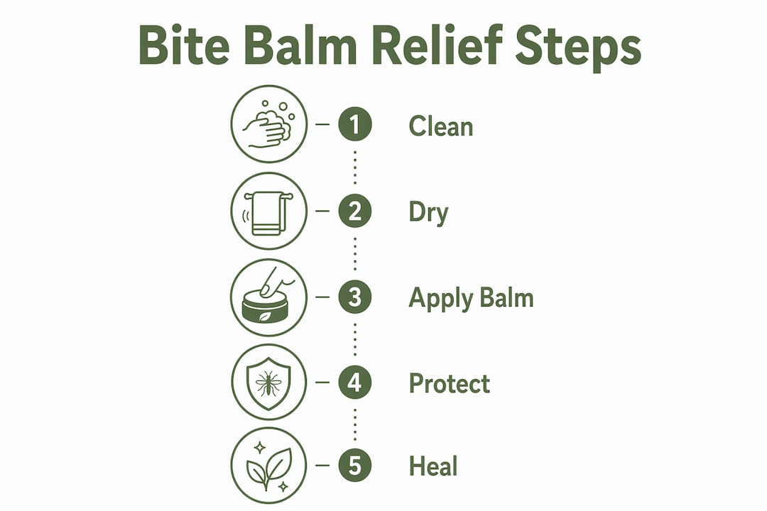 Infographic showing bite balm relief process steps