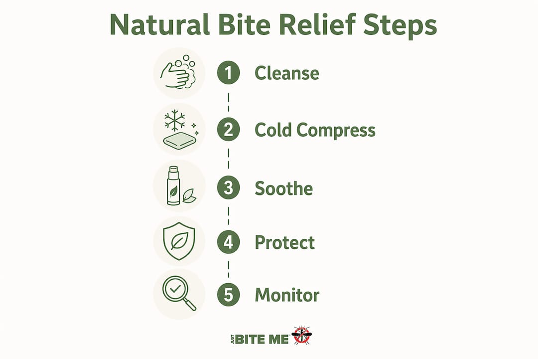 Infographic showing step-by-step natural bite relief