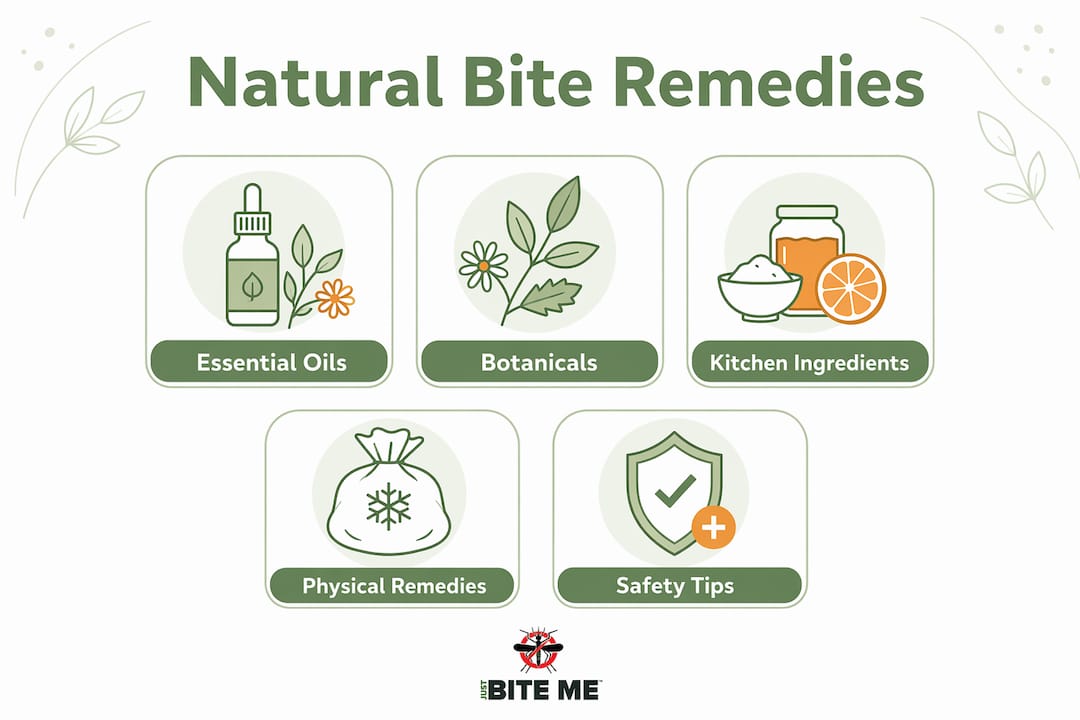 Infographic showing natural bite remedies categories and tips