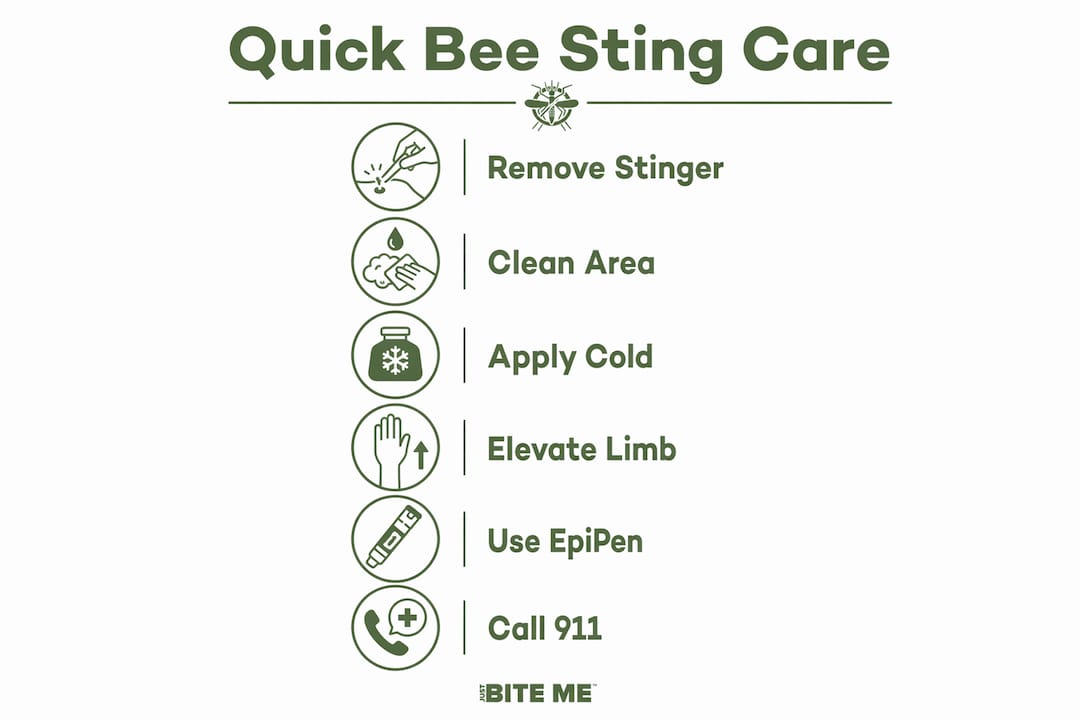 Infographic illustrating bee sting treatment steps
