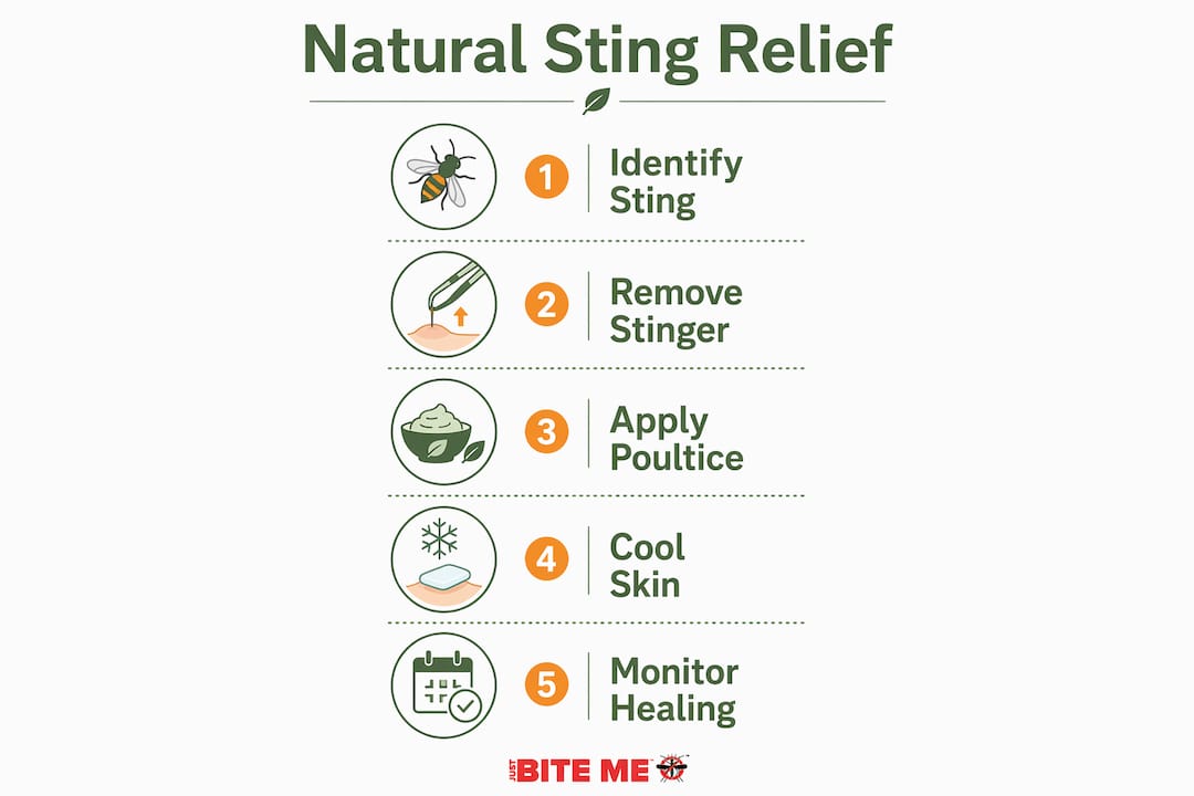 Infographic showing five-step natural sting relief process