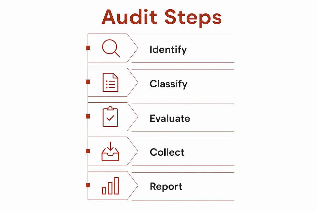 Infographic showing healthcare data audit steps in vertical flow