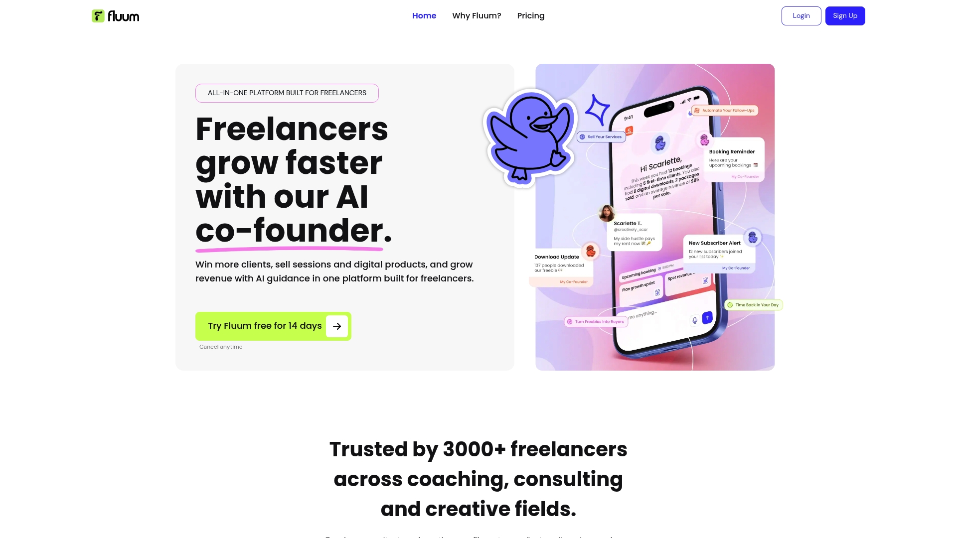 content creation course