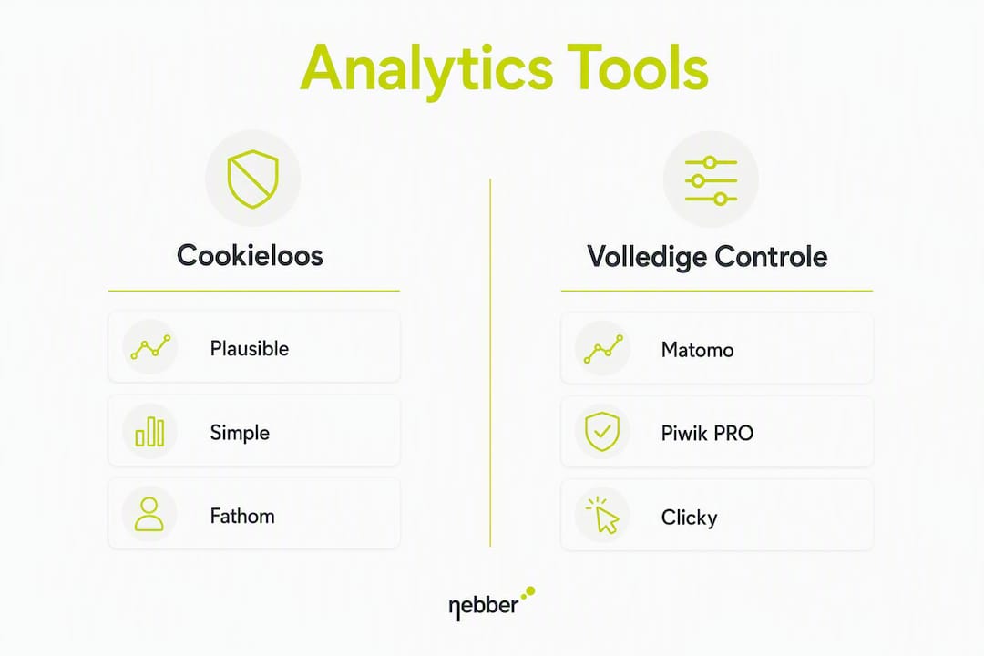 Infographic: overzicht en vergelijking van verschillende categorieën analysetools