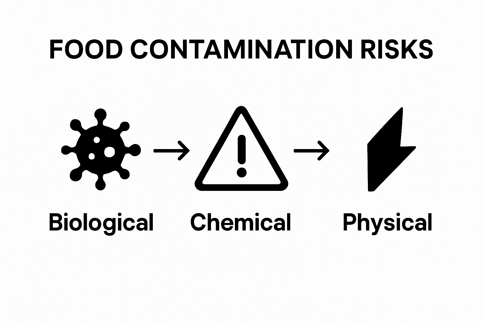Simple icons showing biological, chemical, and physical food safety hazards