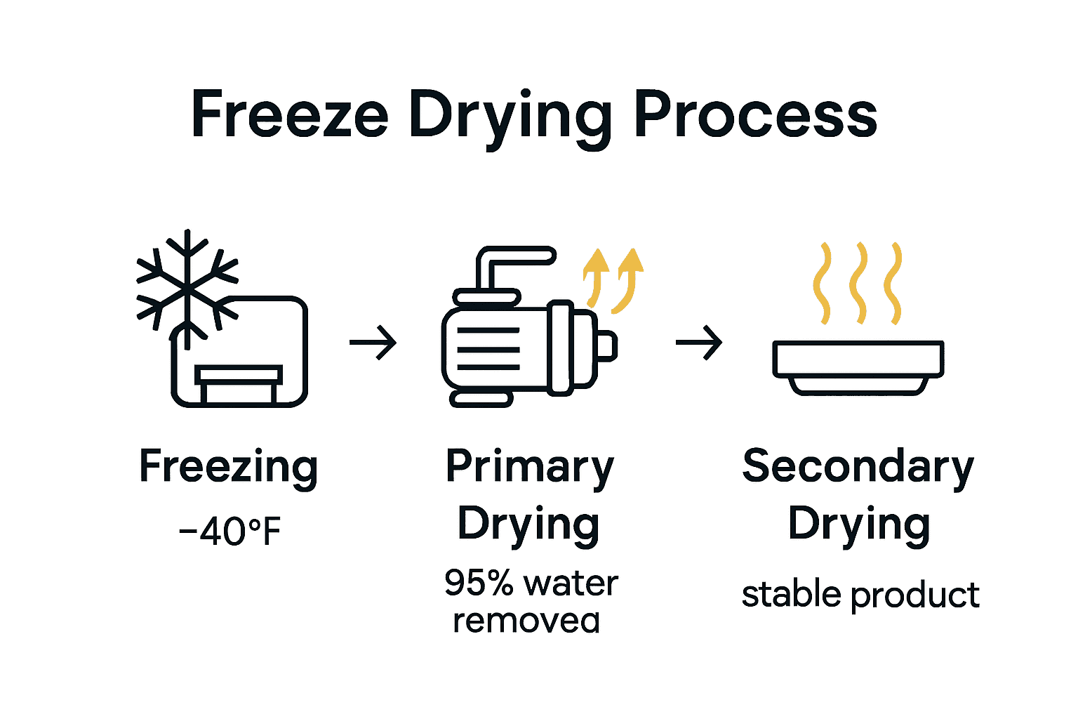Infographic shows freeze drying steps: freezing, primary drying, and secondary drying with icons and brief data.