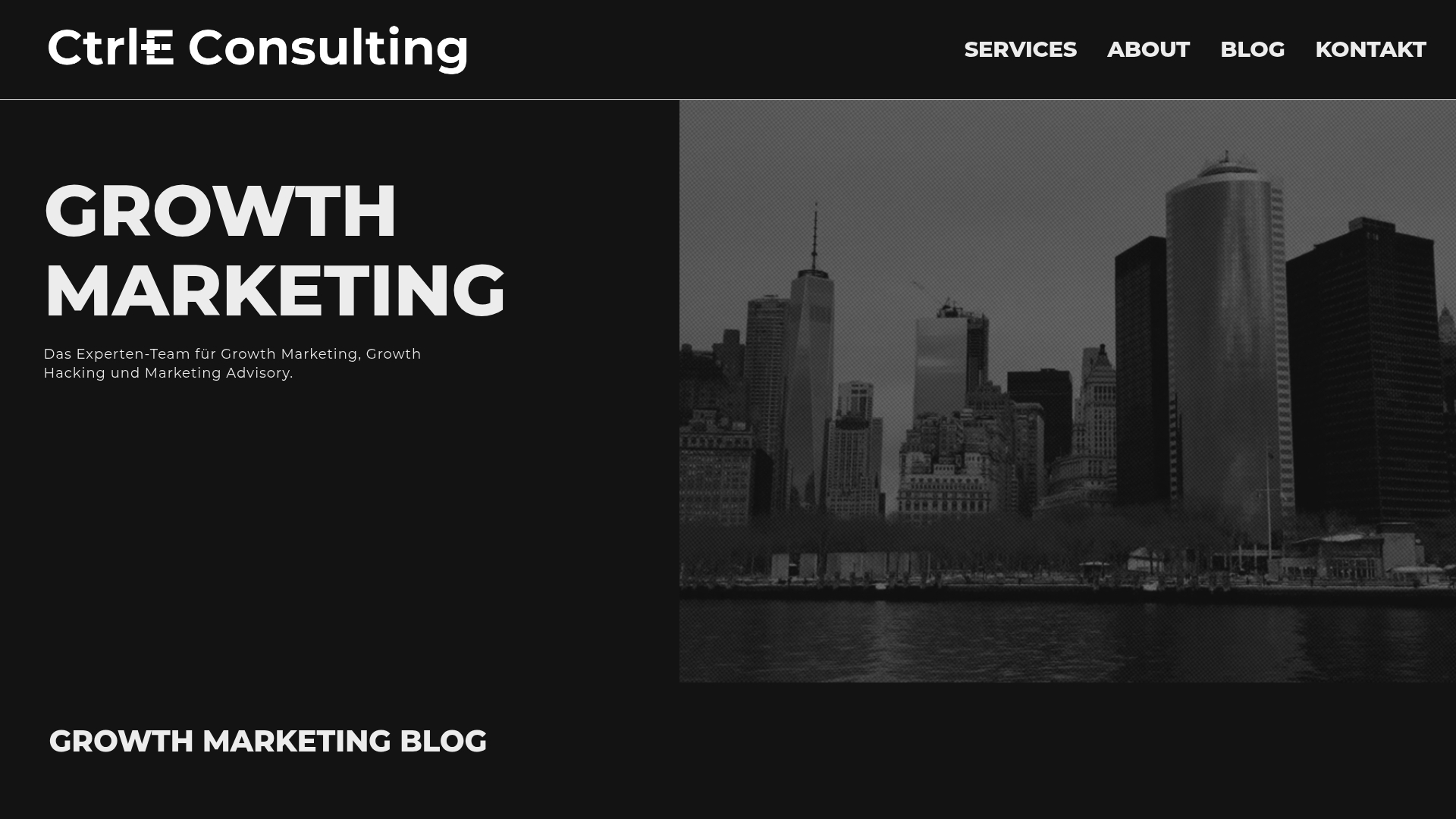https://ctrleconsulting.com