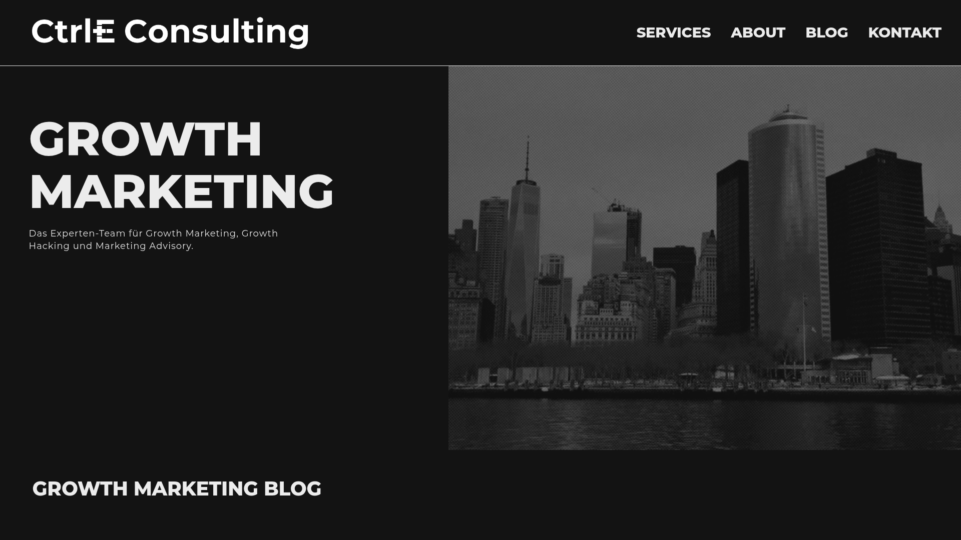 https://ctrleconsulting.com