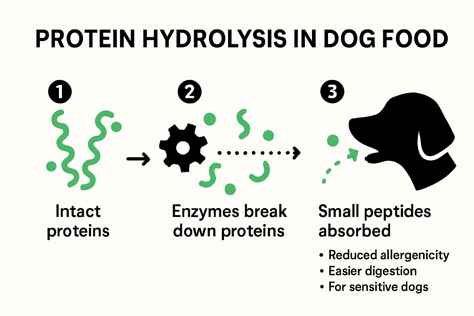 Infographic showing hydrolyzed protein process in dog food