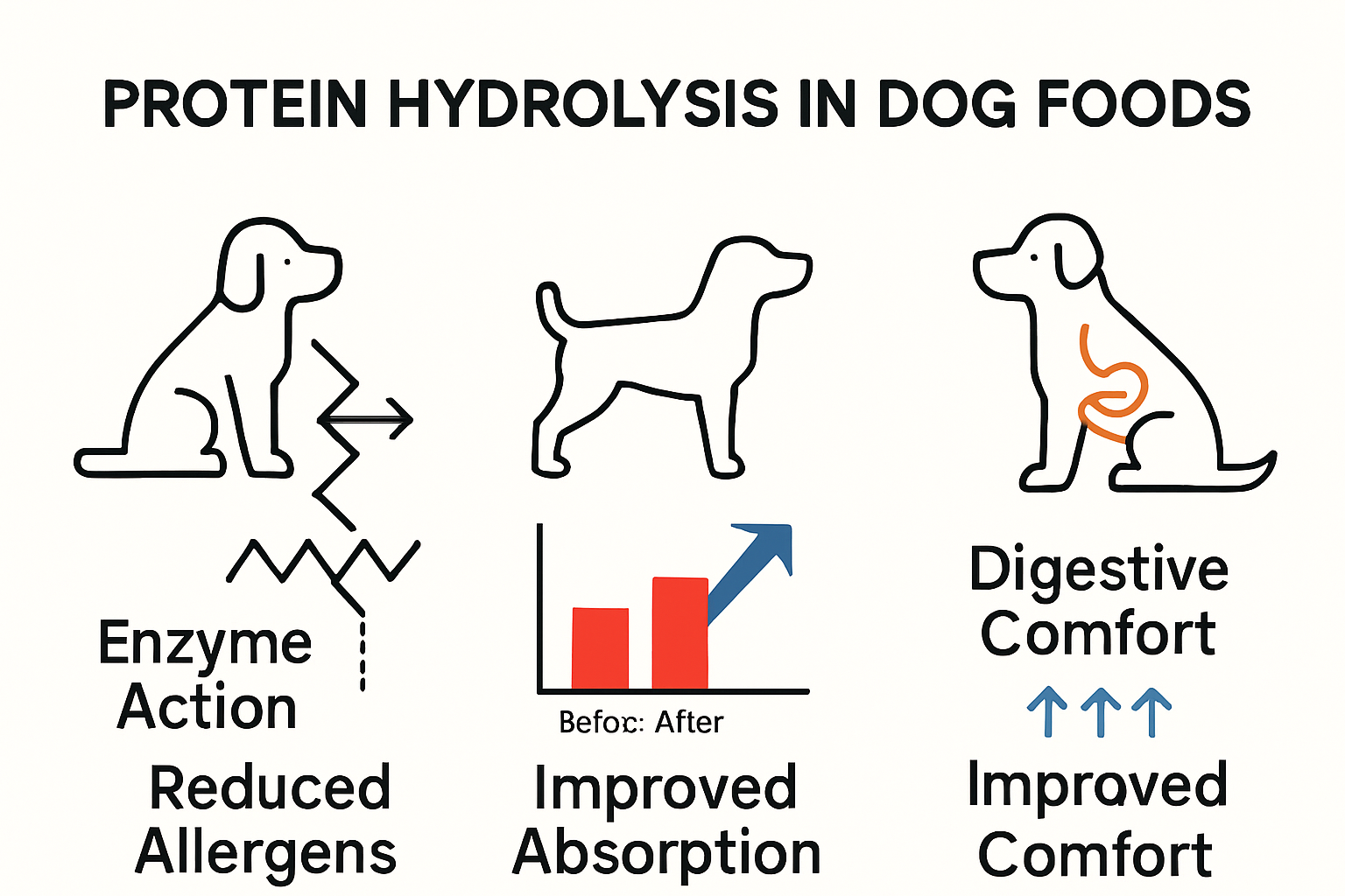 Infographic illustrating hydrolyzed protein process for dogs