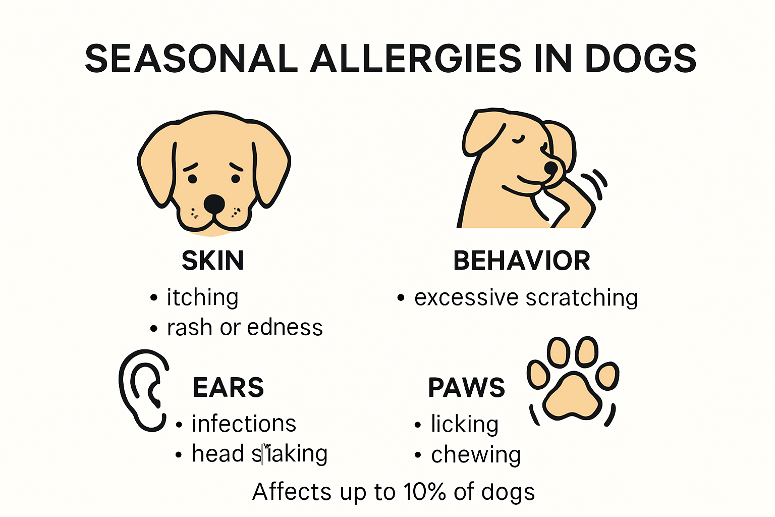 Infographic of seasonal allergy symptoms in dogs