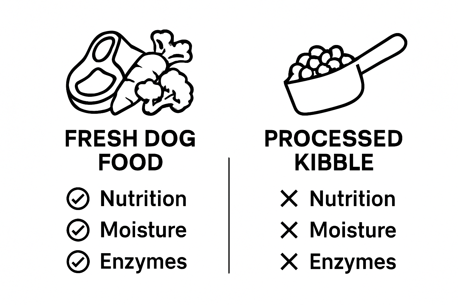 Infographic comparing fresh dog food and kibble nutrition