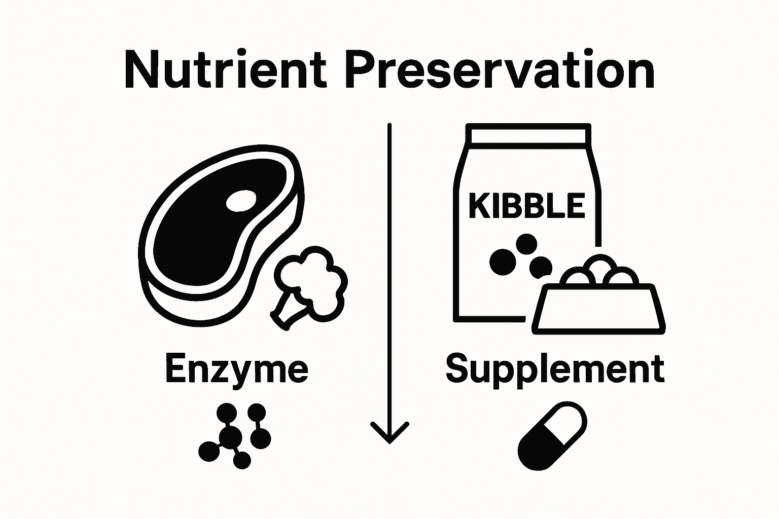 Side-by-side visual comparison of raw and kibble dog food composition