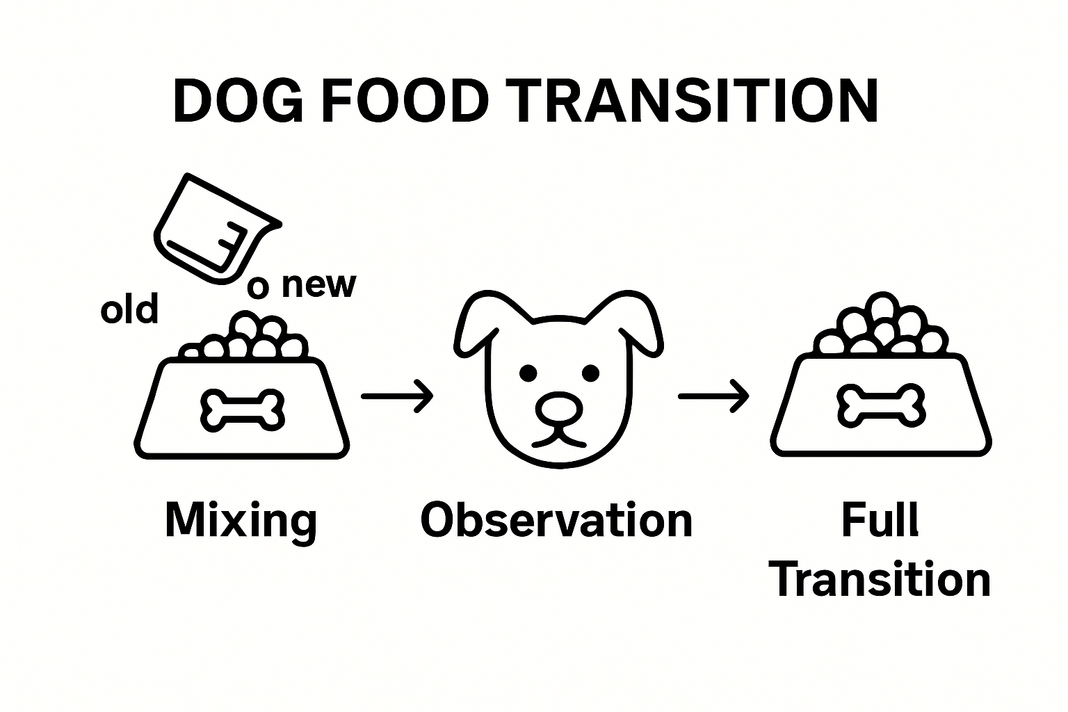 Infographic diagram showing gradual transition to new dog food in four steps