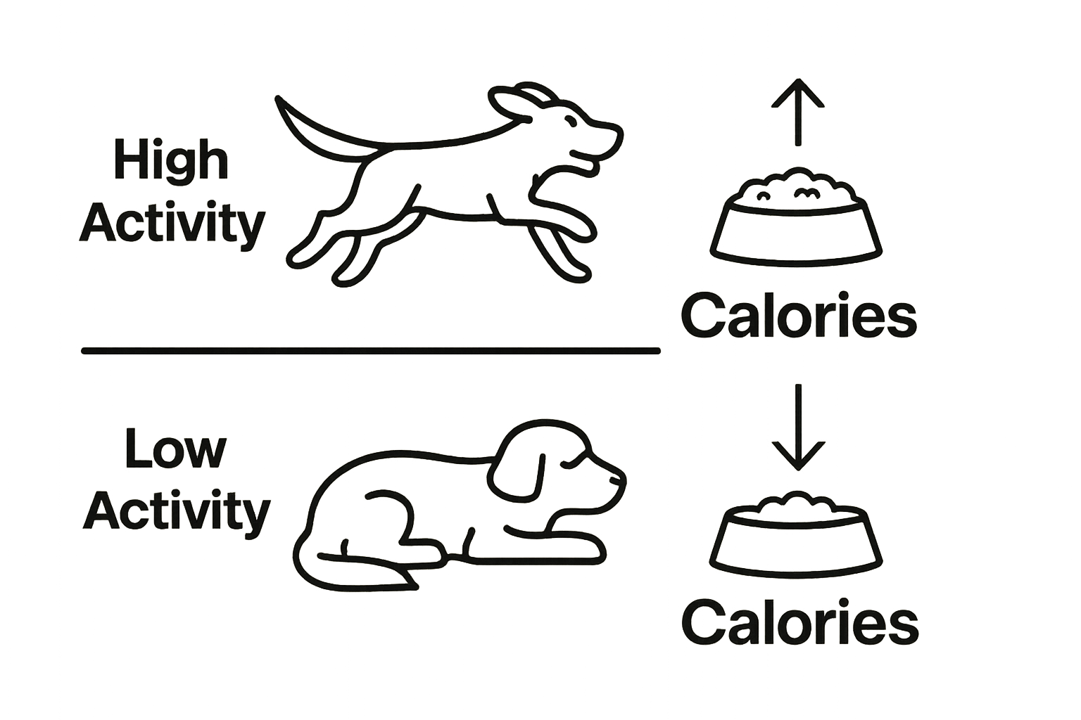 Infographic comparing dog food portions for active vs sedentary dogs