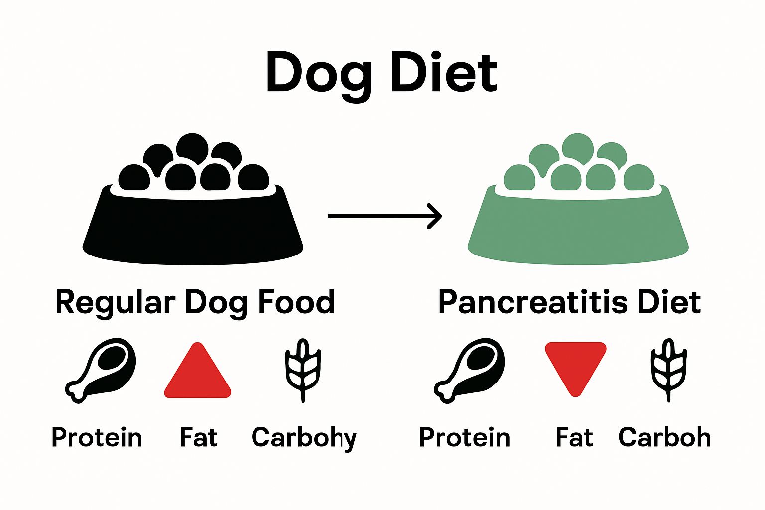 Infographic comparing regular dog food and pancreatitis diet ingredients and fat content.