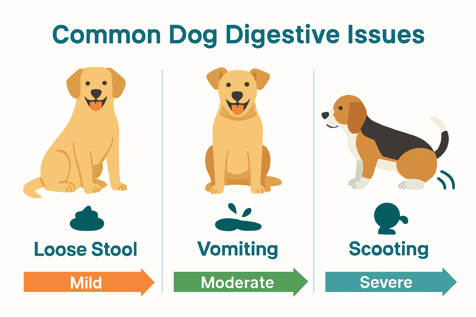 Infographic comparing common digestive issues in dogs with icons and symptoms.