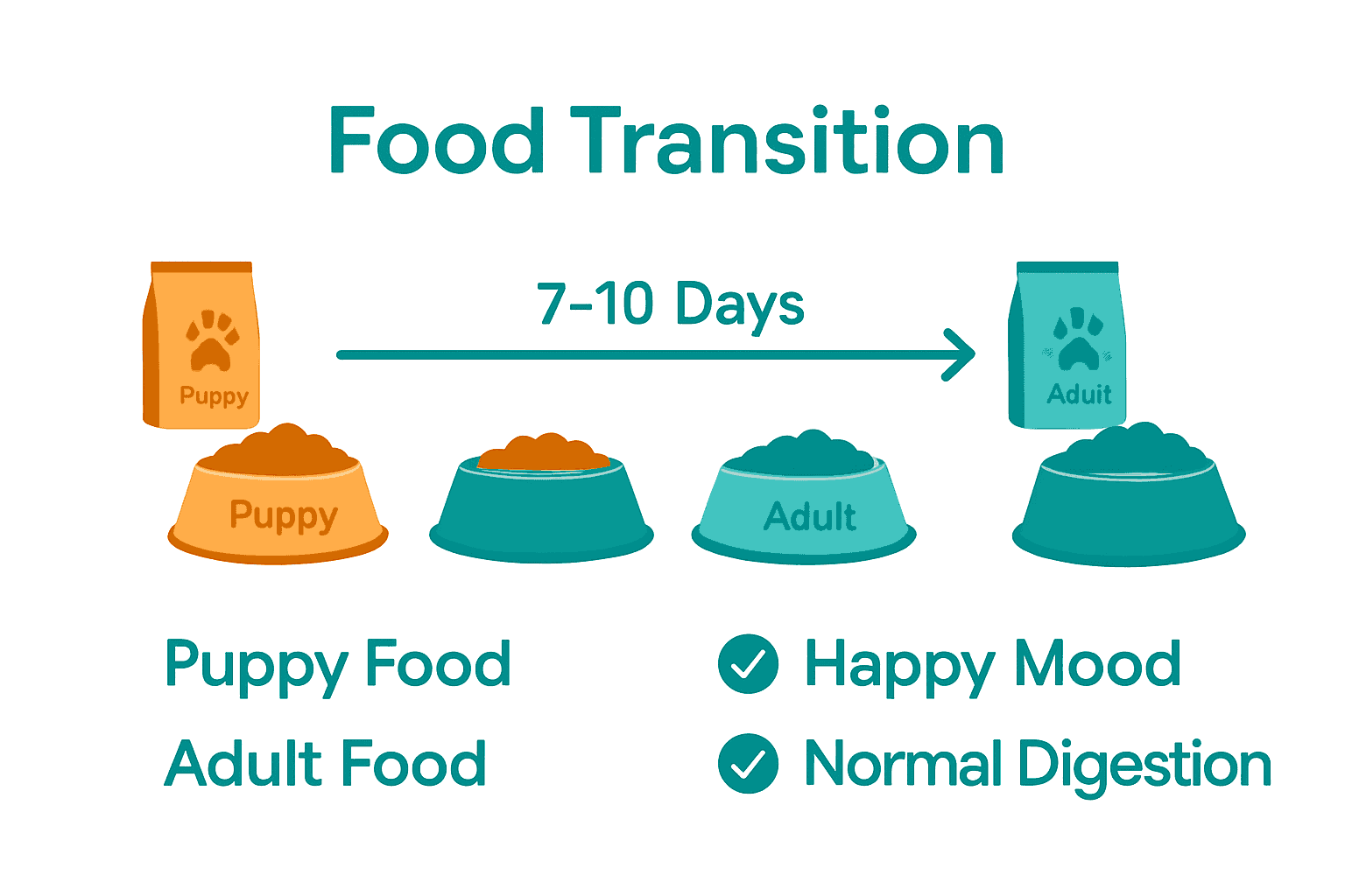 Infographic showing 7-10 day transition from puppy to adult dog food