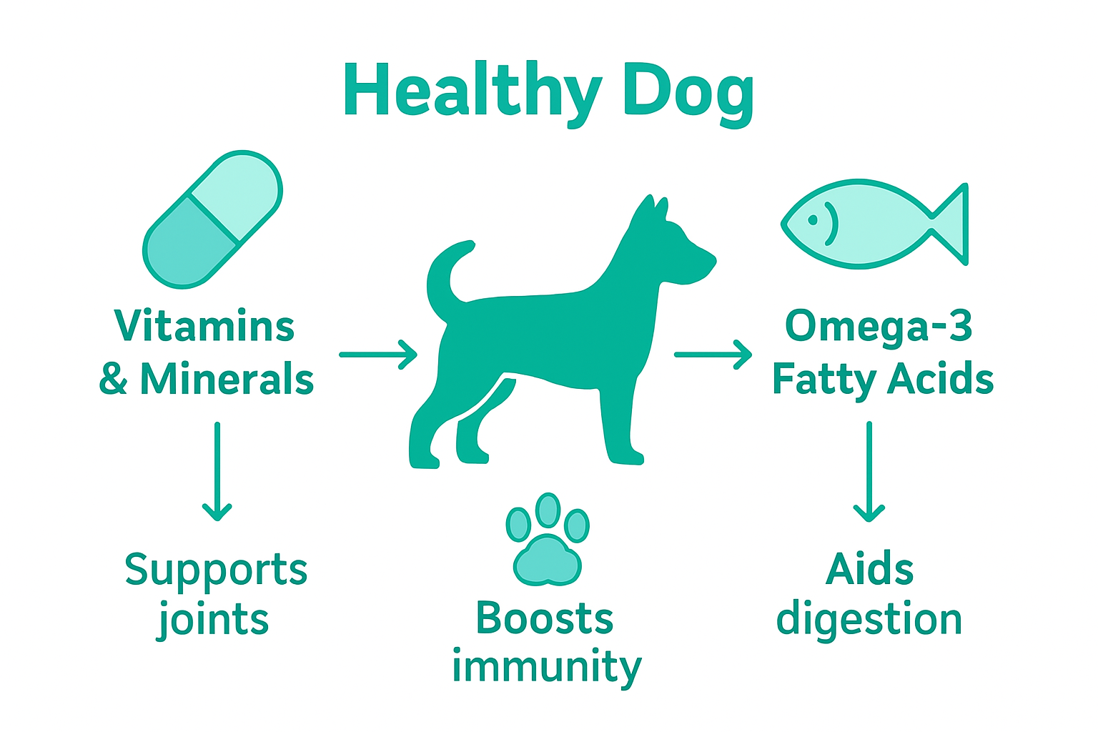 Dog food nutrients infographic with icons