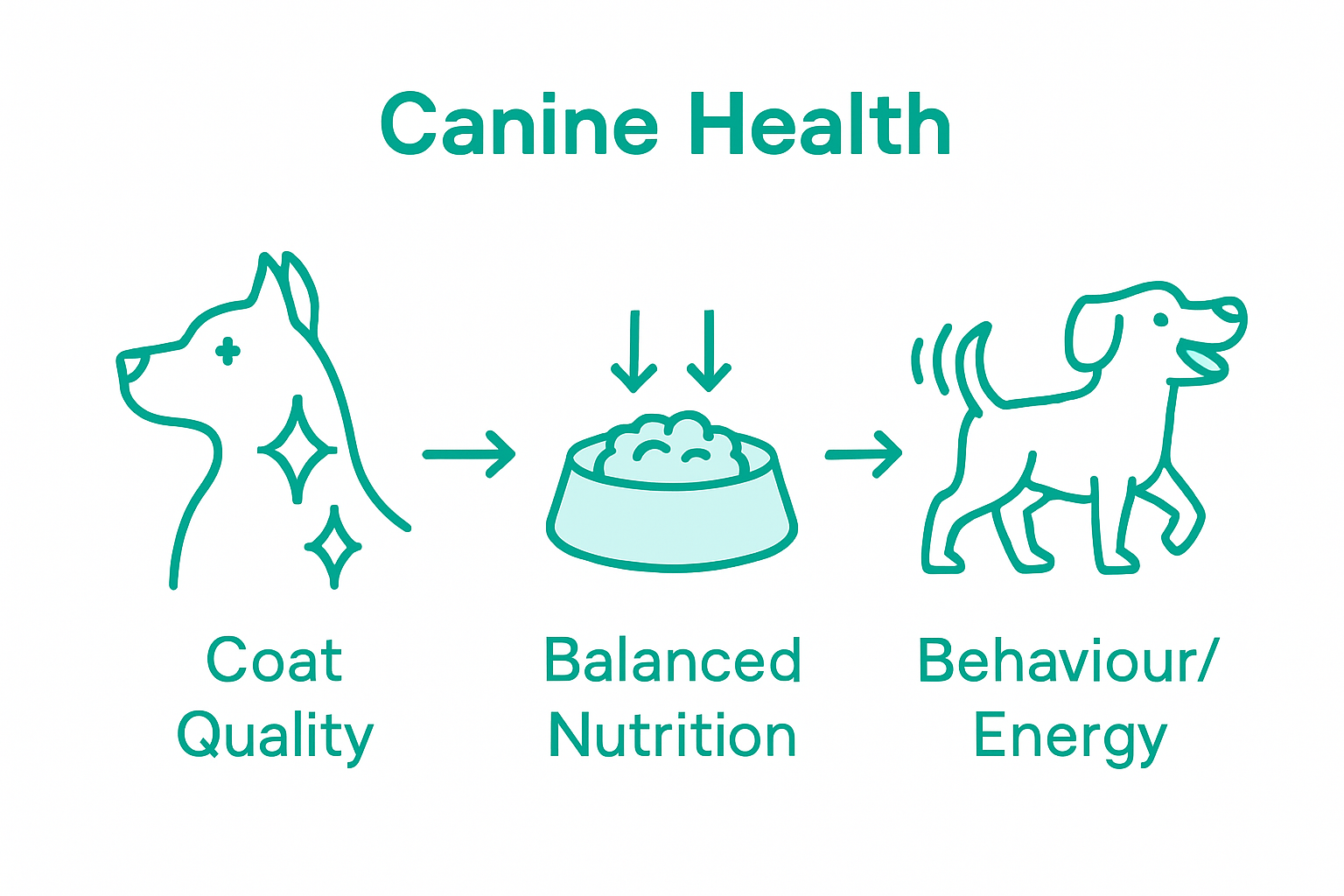 Infographic comparing key dog health indicators