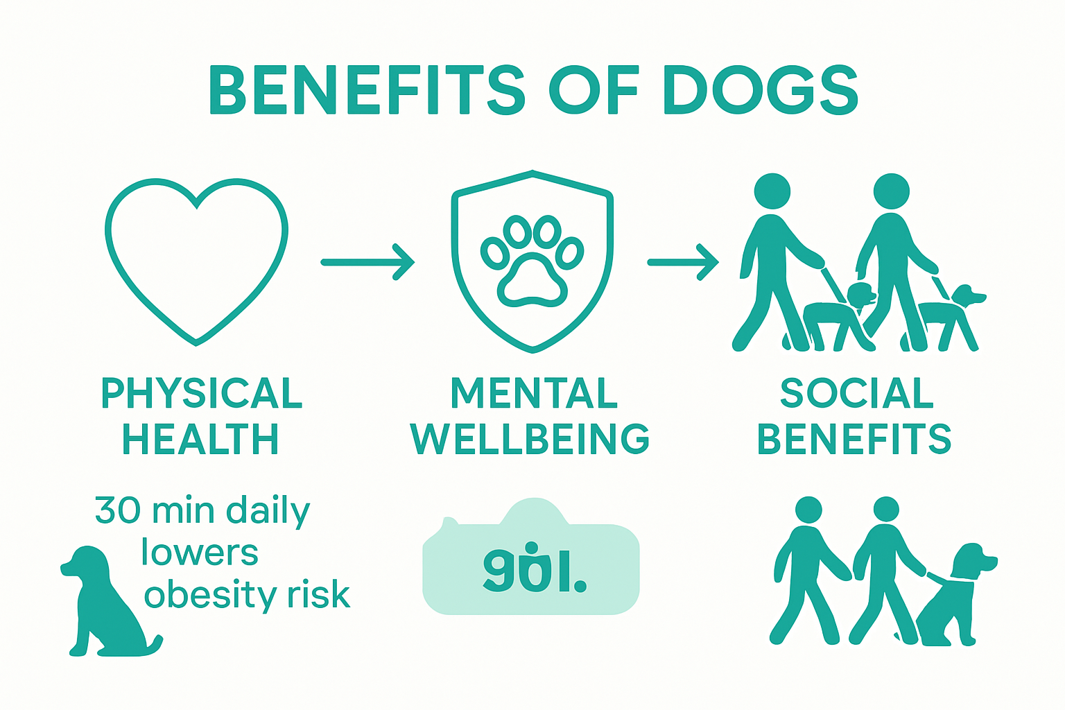 Infographic showing dog walking health benefits