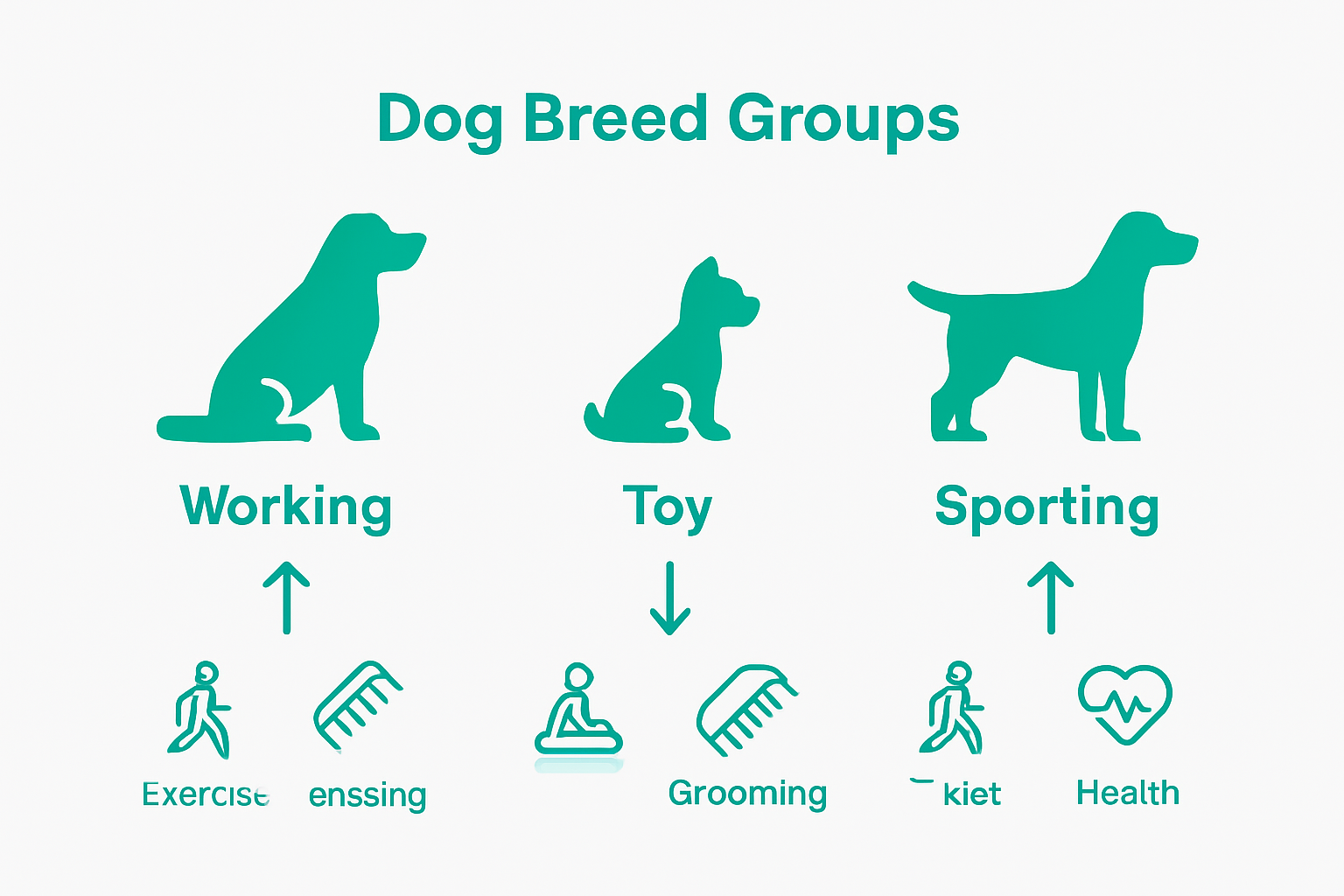 Dog breed groups comparison infographic