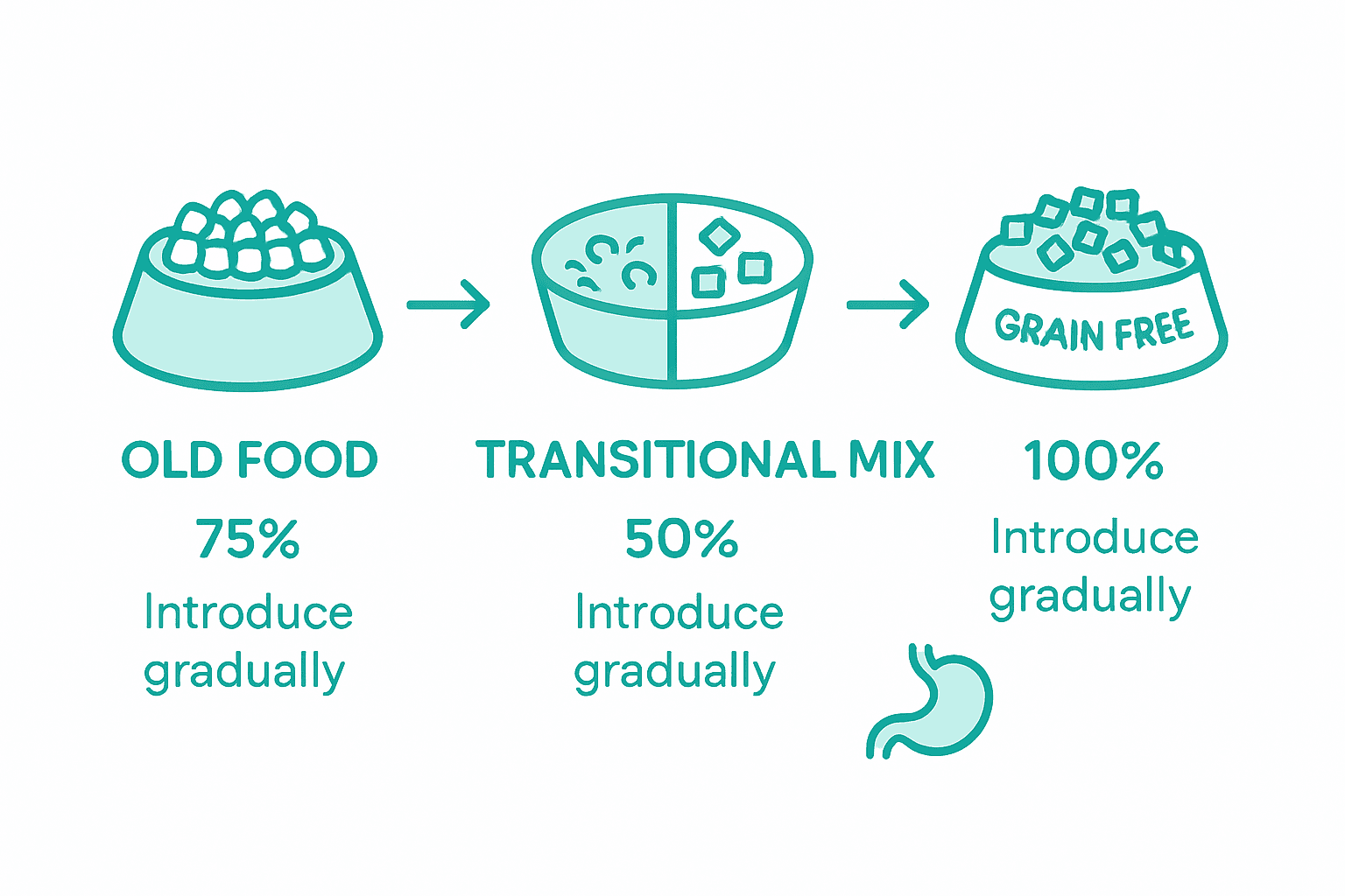 Infographic showing dog grain free diet transition stages