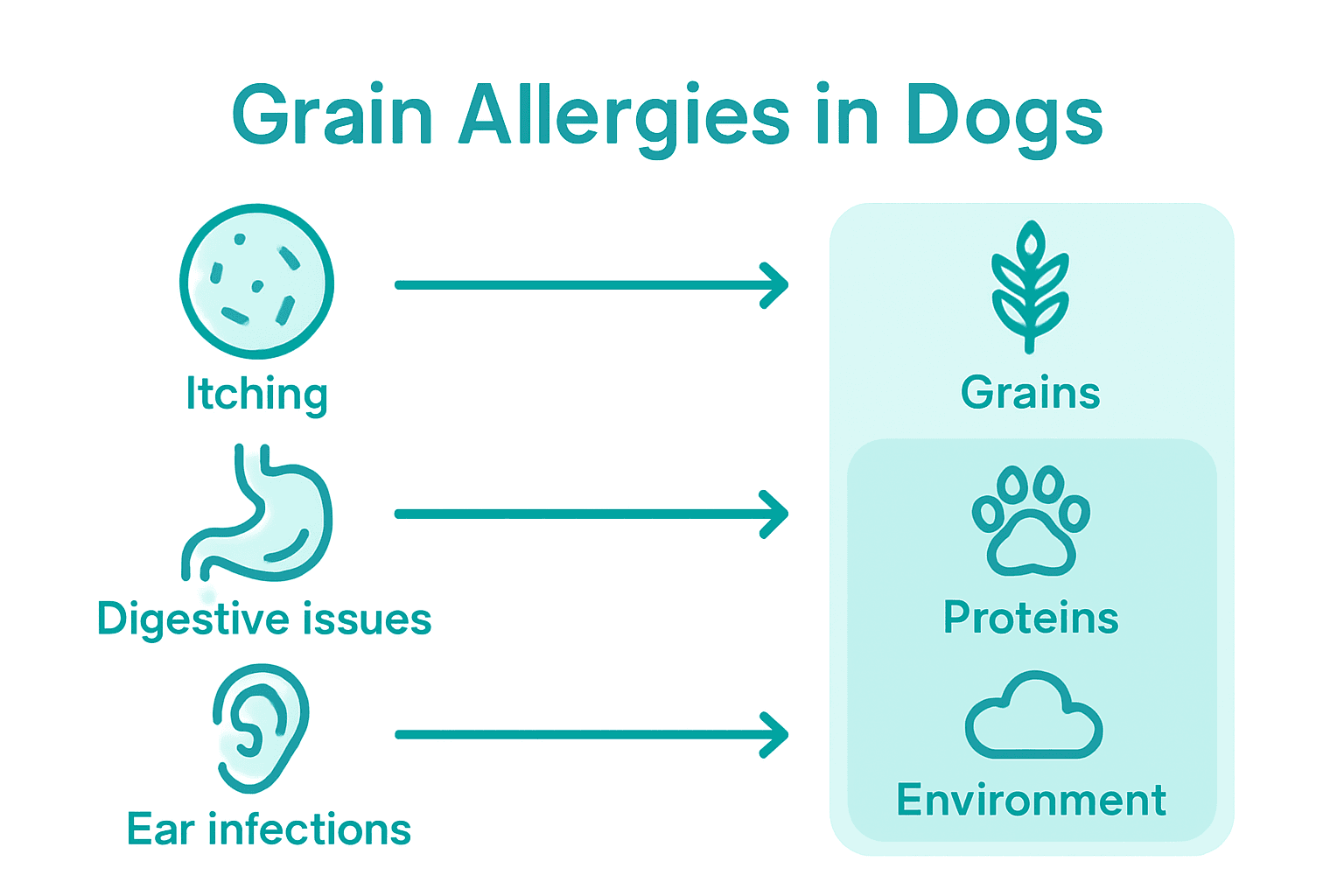 Infographic comparing dog allergy causes