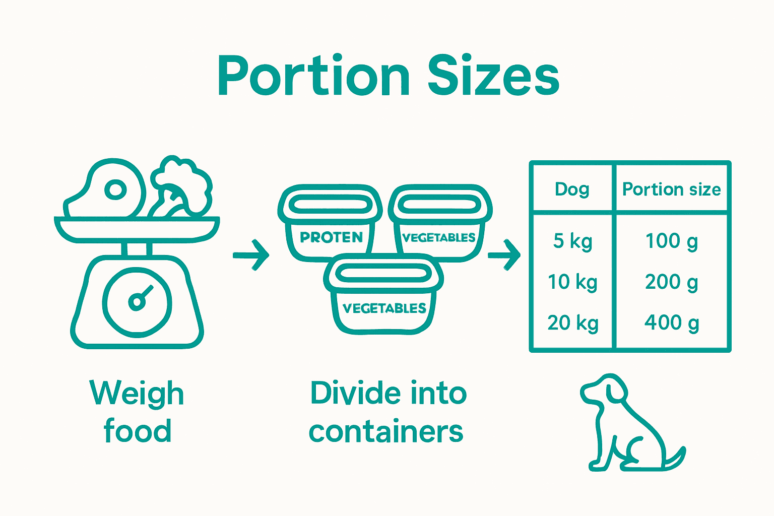Infographic showing how to portion homemade dog meals