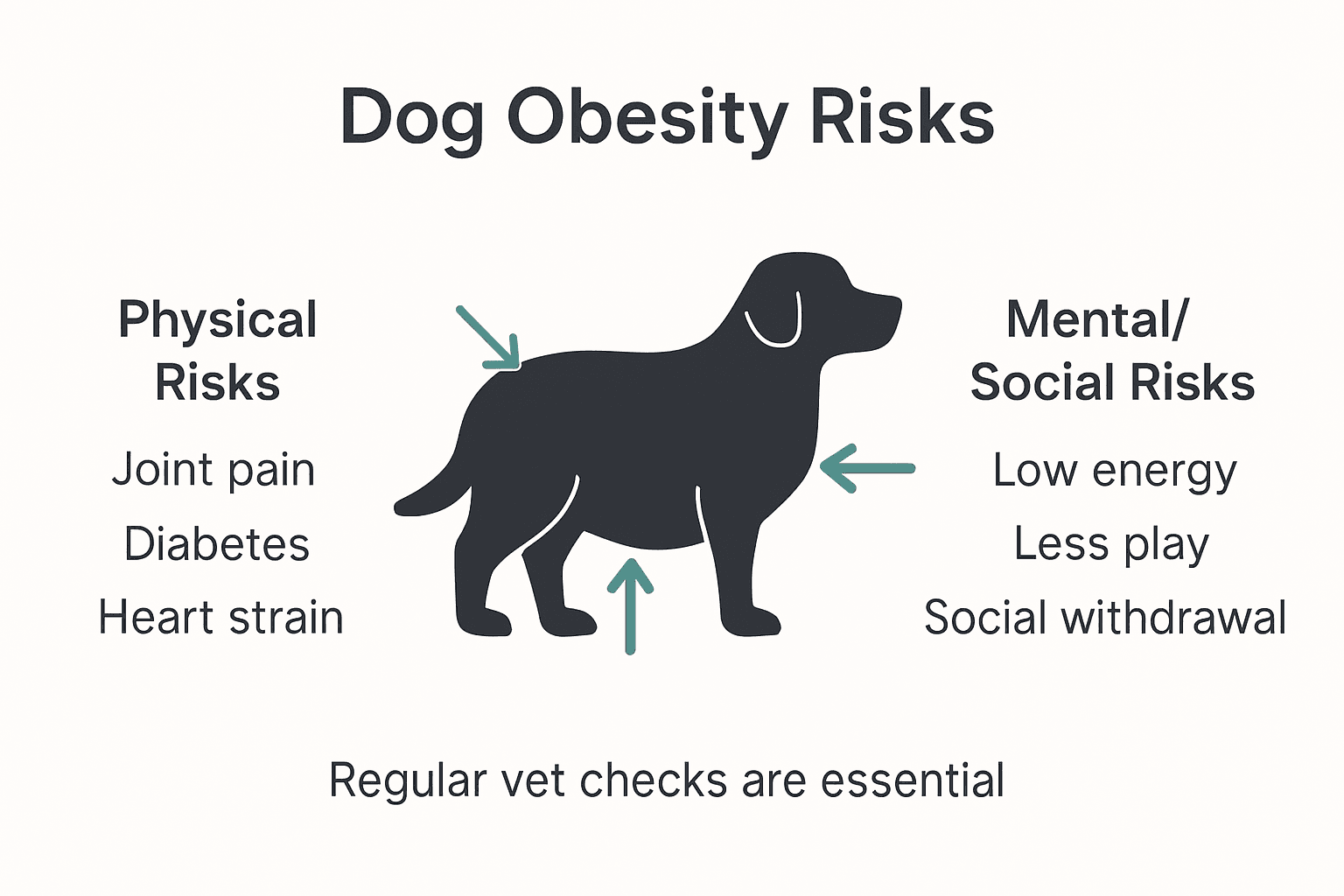 Infographic showing dog obesity health risks