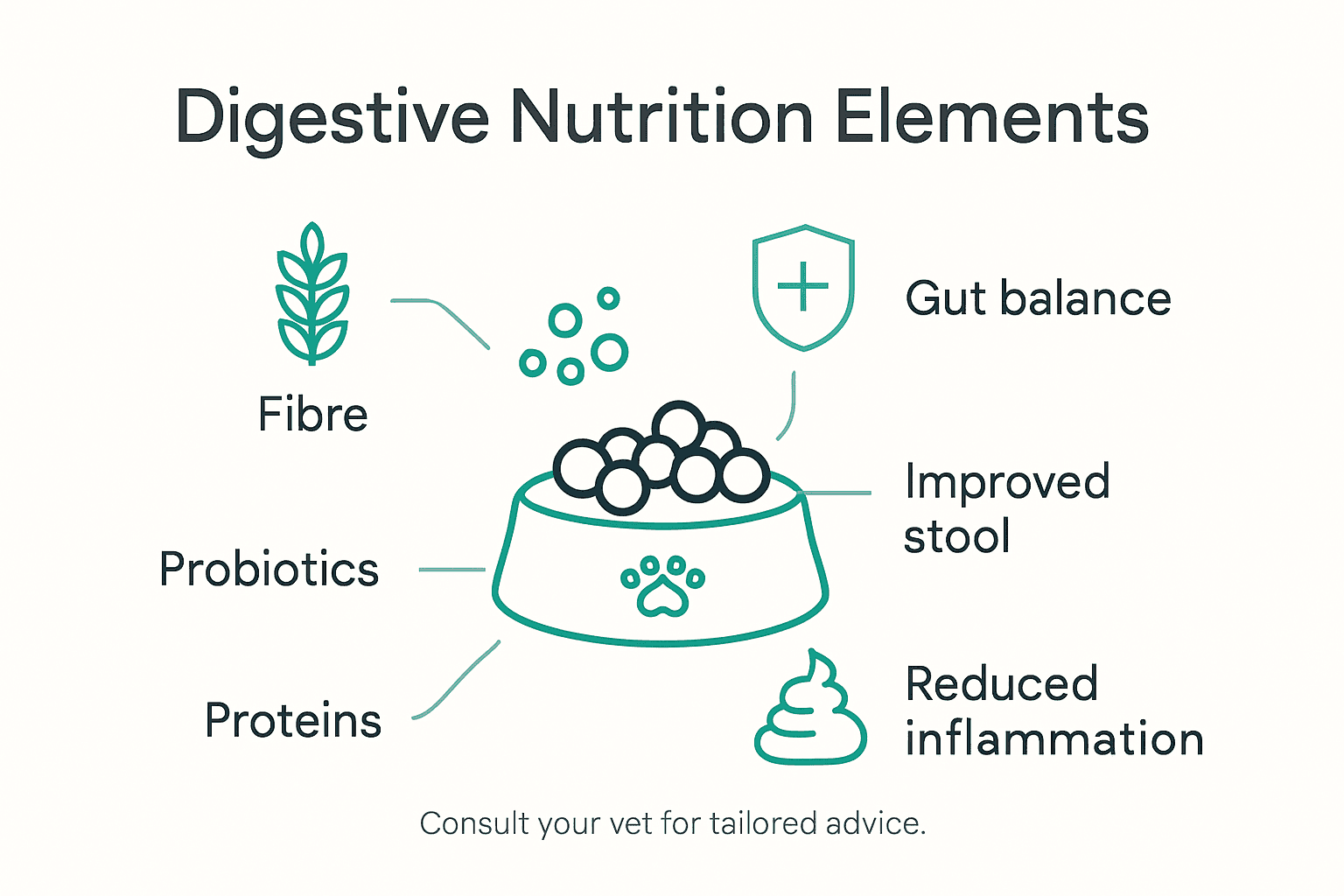 Infographic highlighting key digestive nutrition factors