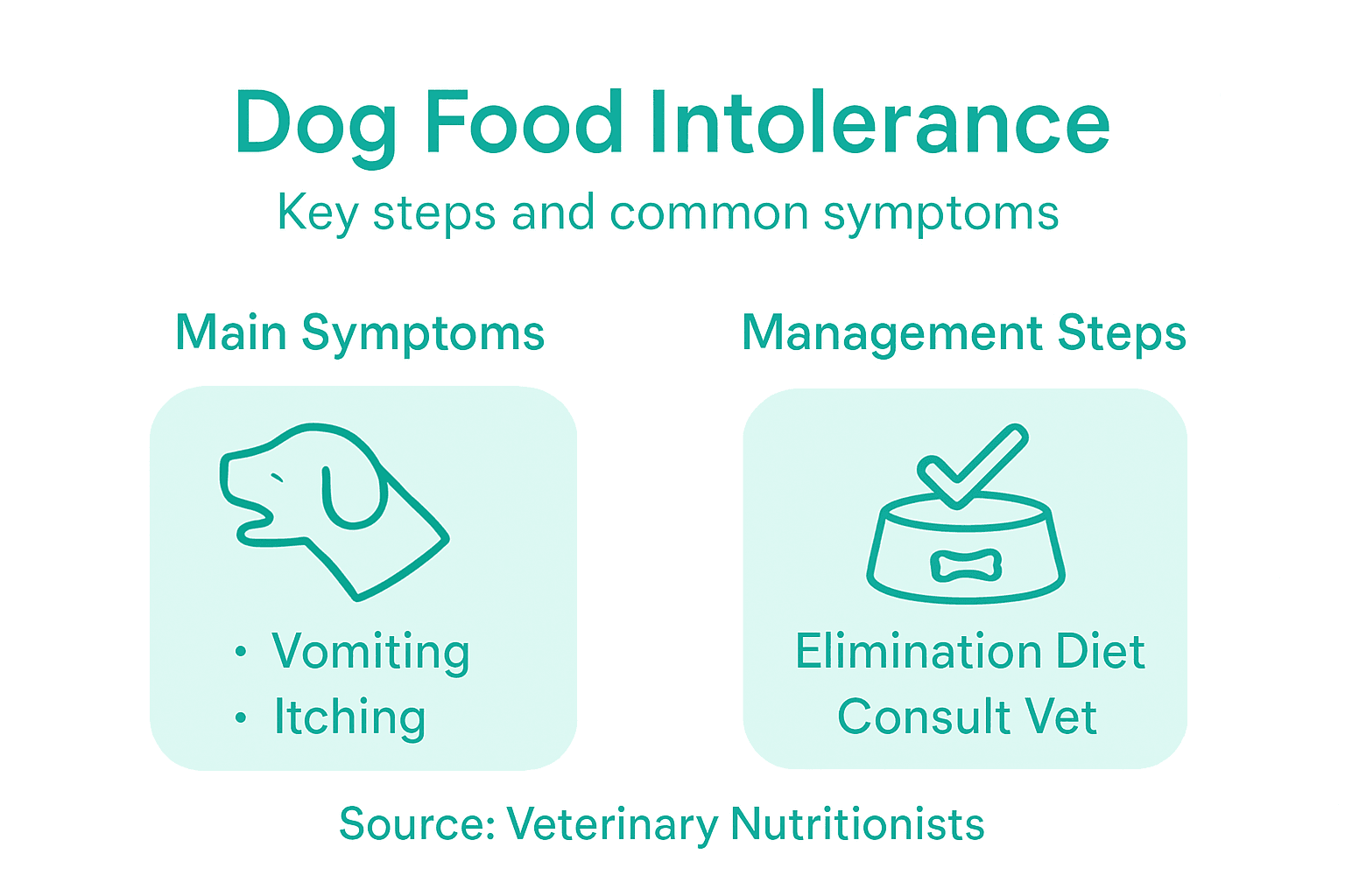 Infographic showing common food intolerance steps and symptoms
