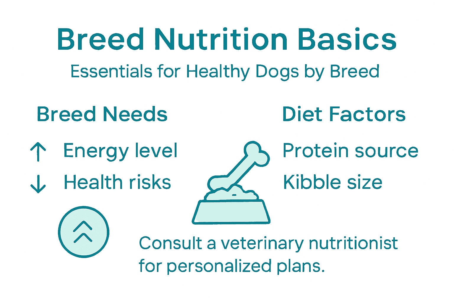 Infographic on breed-based dog nutrition basics