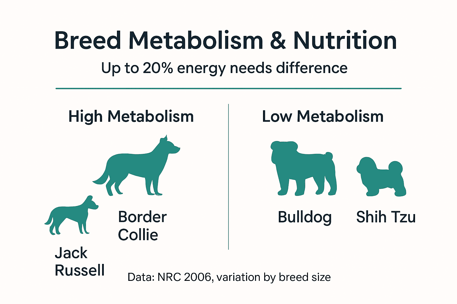 Infographic showing breed metabolism and nutrition impact