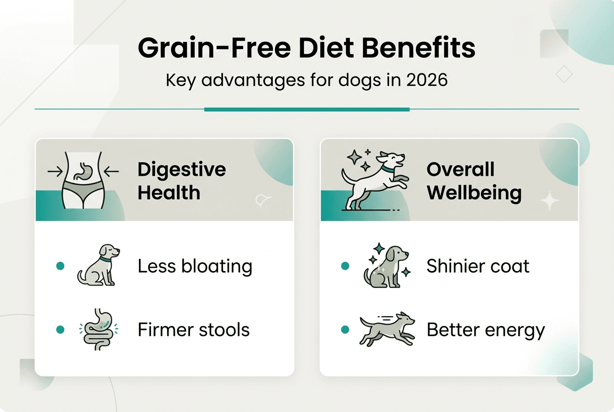 Infographic showing benefits of grain free diets