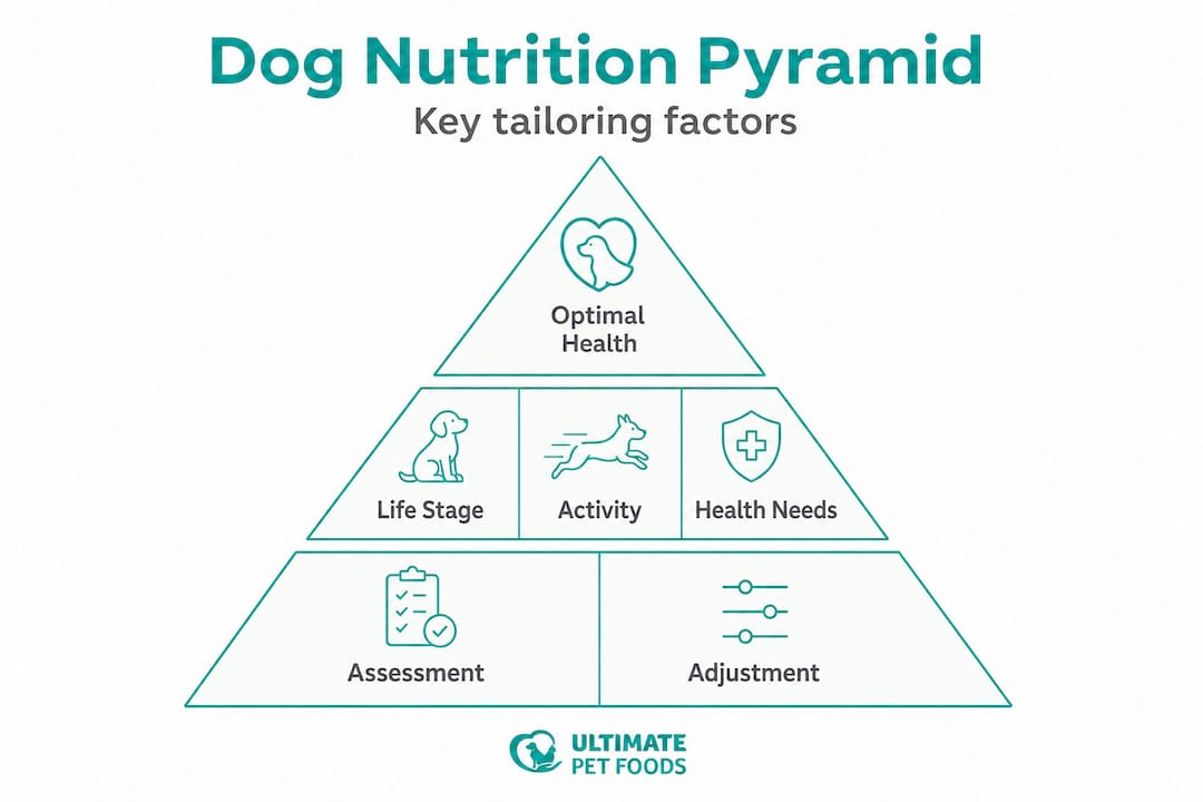 Hierarchy pyramid showing key dog nutrition factors