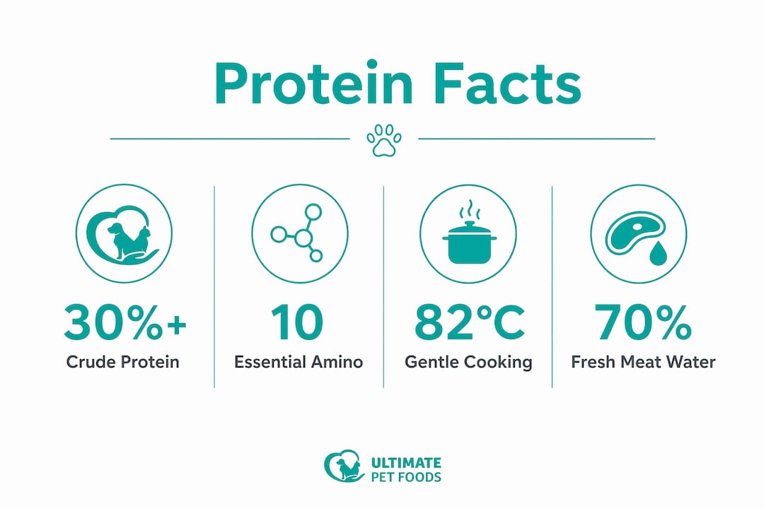 Infographic showing key protein facts about high meat content dog food