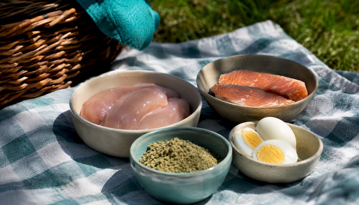 Varied dog protein sources arranged on table