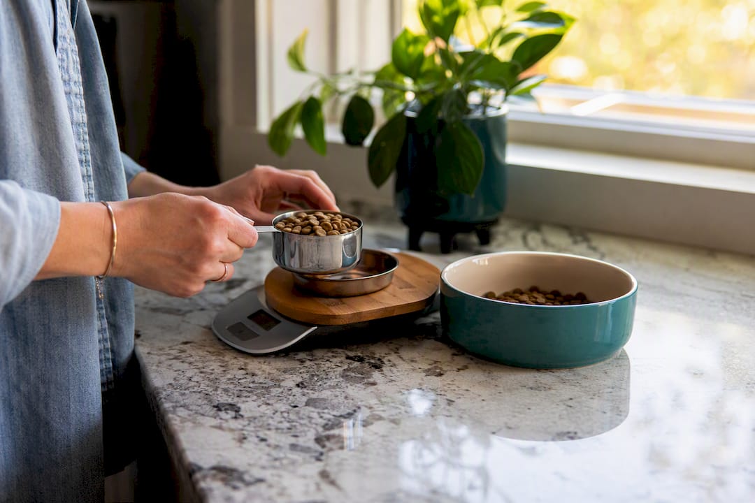 Person weighing dog food portions on kitchen scale
