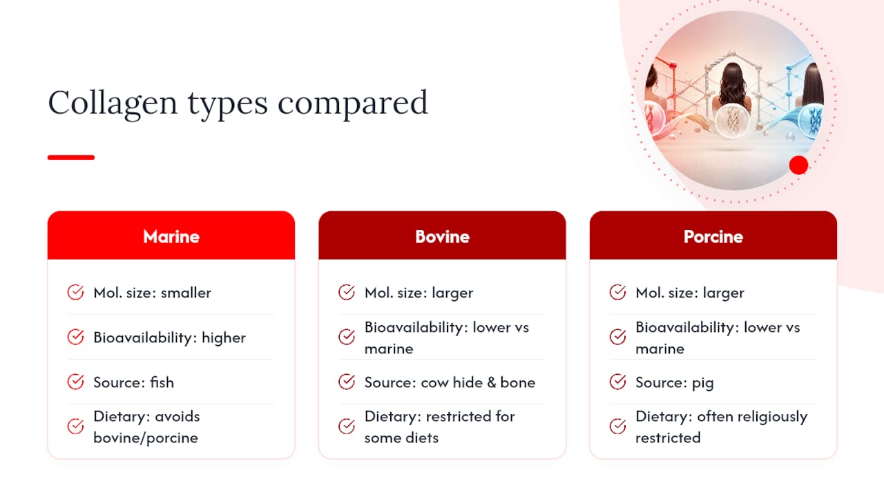 Collagen sources comparison infographic